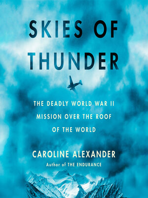 cover image of Skies of Thunder